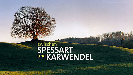 Spessat Karwendel logo